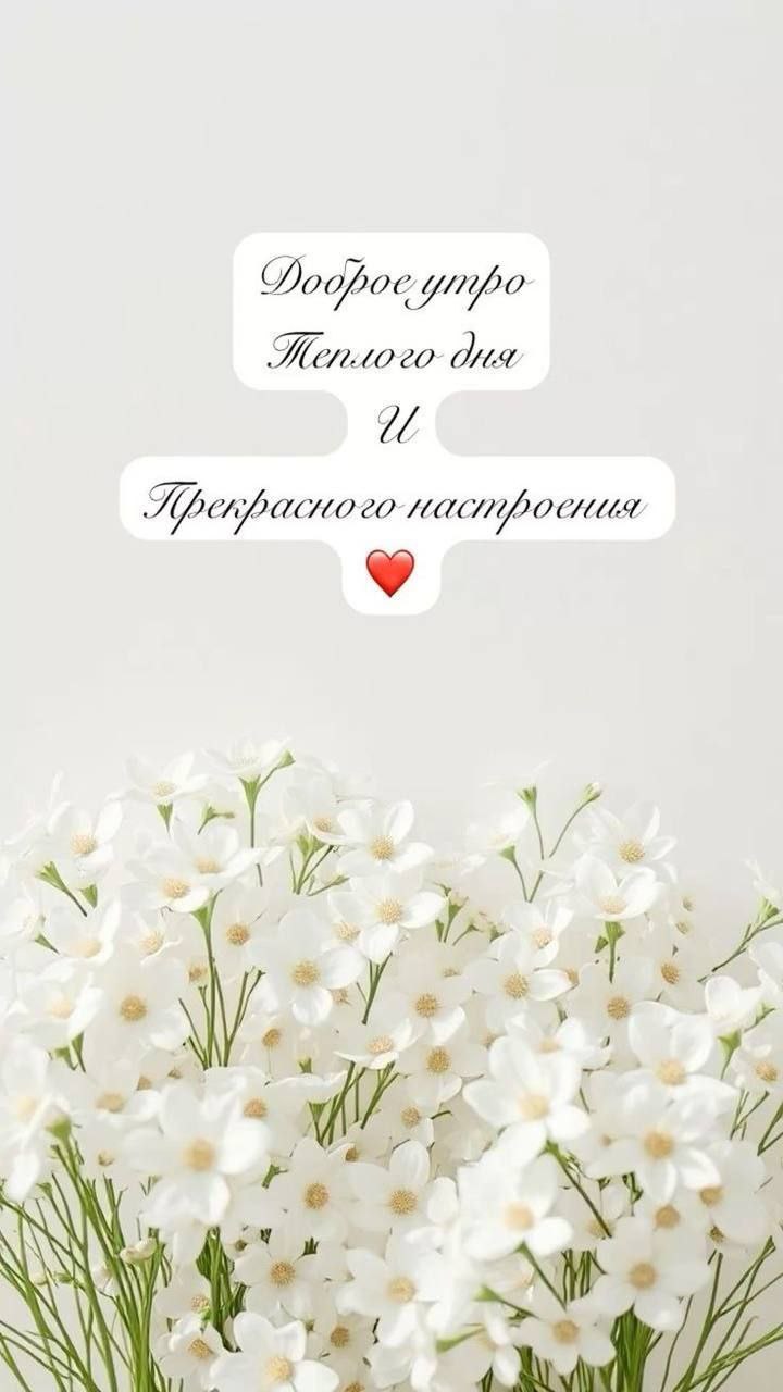 История