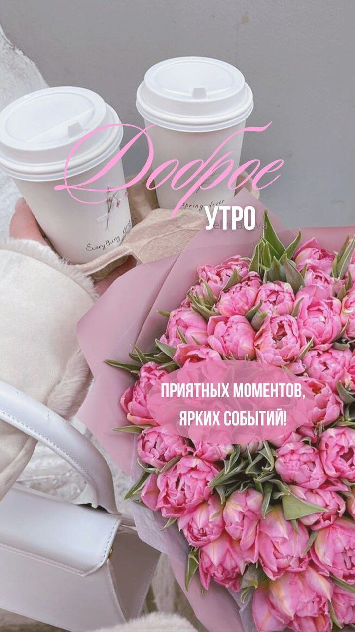 История